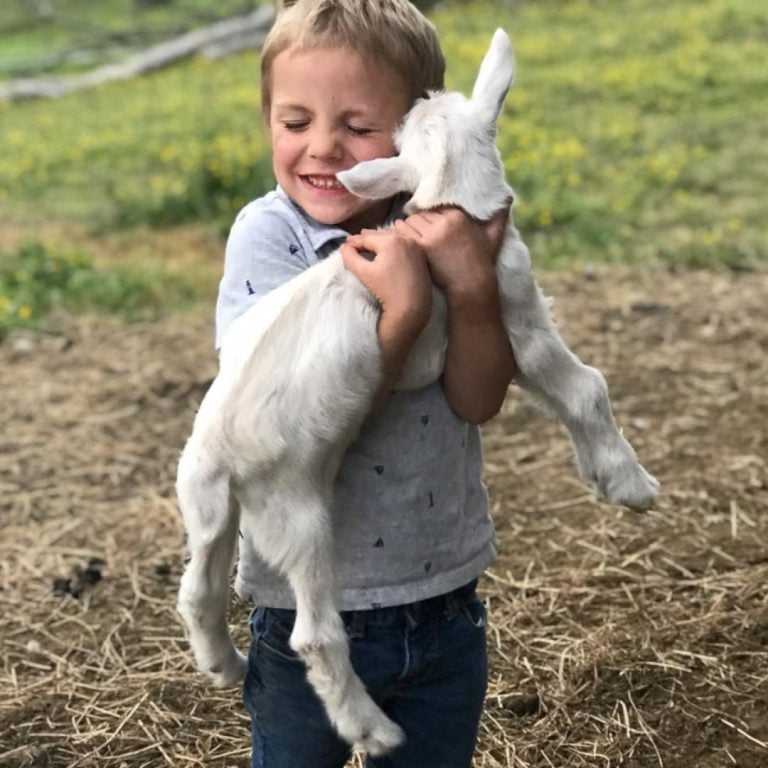Brambles Bend Farms Goats